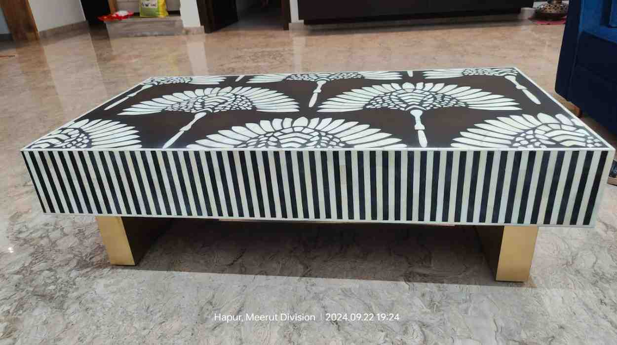 Enisa Coffee Table - Bone Inlay furniture front side